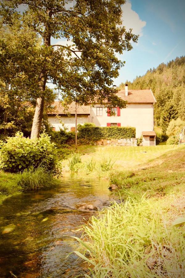 Gite De Charme Jusqu'A 14 Personnes, Proche Du Lac De Gérardmer Kültér fotó